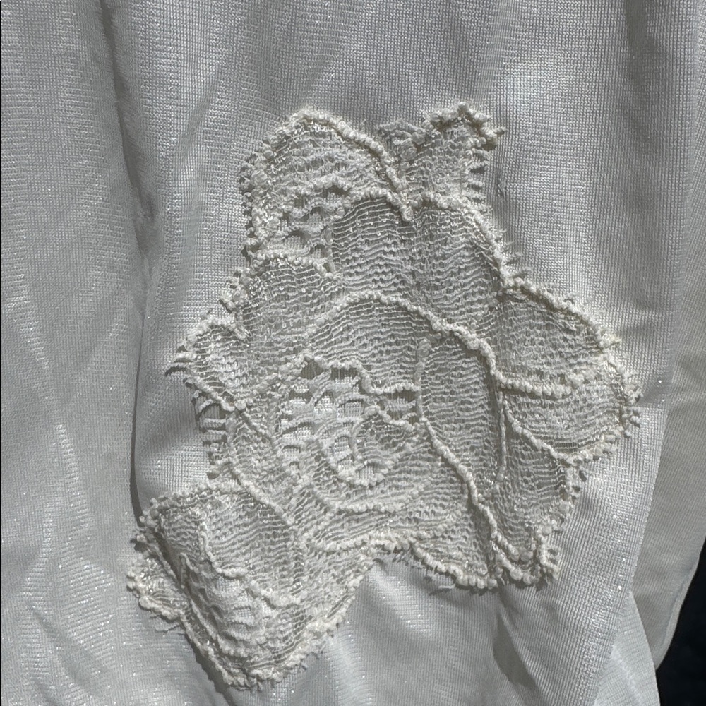 SILKY Vintage Pin Up Appliquéd Lace Vanity Fair sz 8 Beige Nylon Panties NOS